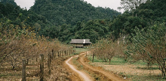 hang-táu-mộc-châu