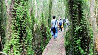 Khám phá Làng nổi Tân Lập - Check-in “đường xuyên rừng tràm đẹp nhất Việt Nam”