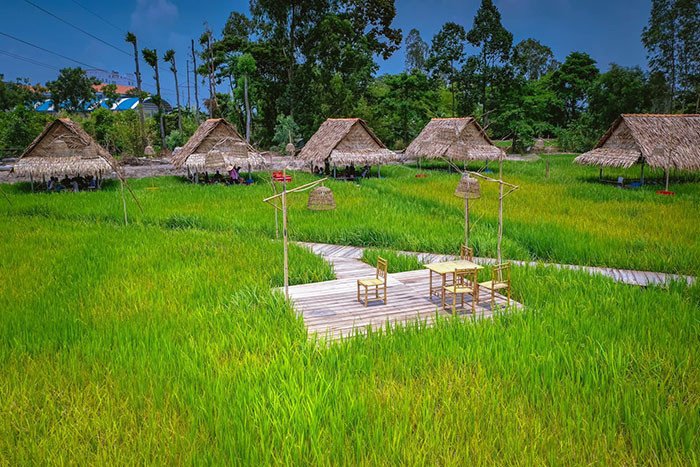 Khám phá du lịch sinh thái Mỹ Phước Thành view đồng ruộng Đồng Tháp