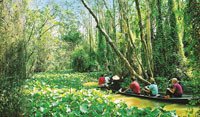 Bỏ túi cẩm nang du lịch vườn quốc gia Tràm Chim xứ Đồng Tháp