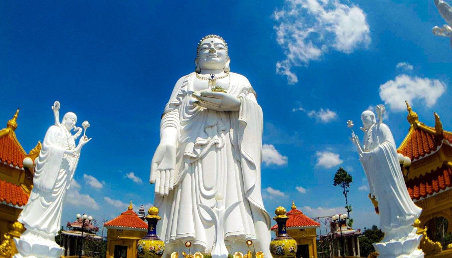 Chiêm ngưỡng " Bức tượng Phật A Di Đà 39m " cao nhất miền Tây