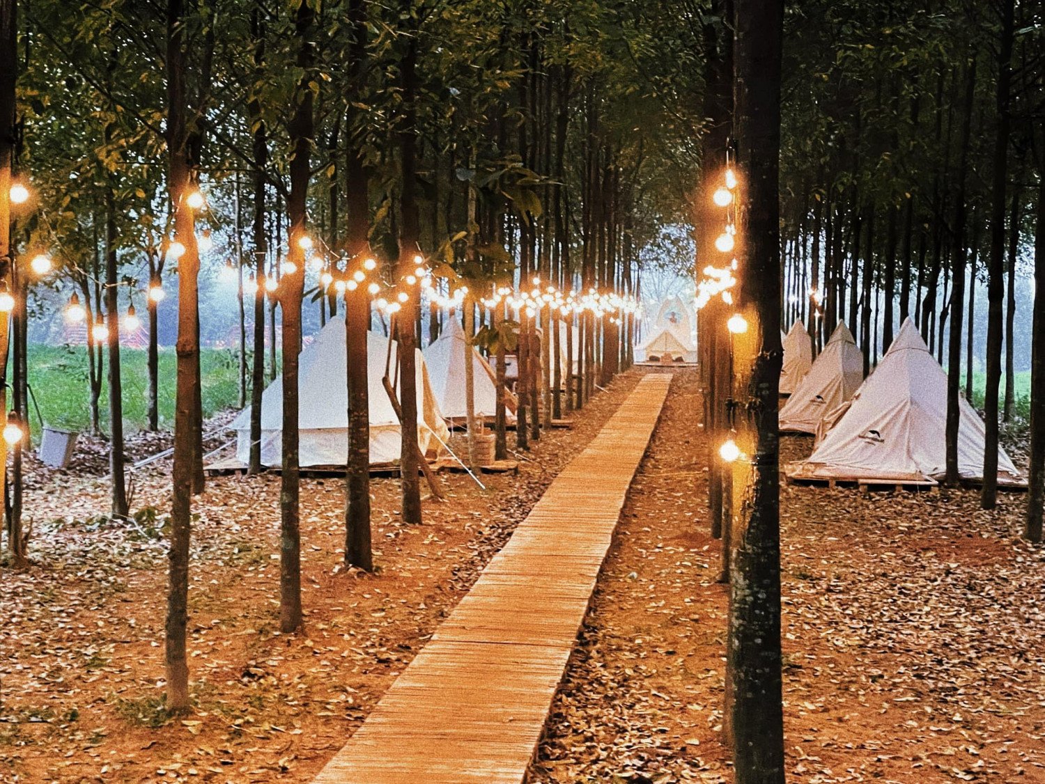 Camping “Đà Lạt thu nhỏ” giữa lòng Hà Nội