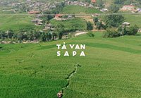 Review Tả Văn vào mùa lúa chín tại Sapa - Lào Cai