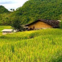 TOP 5 bản làng Hà Giang xinh đẹp mà bạn nhất định phải ghé thăm
