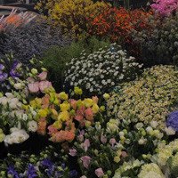 Khám phá chợ hoa đêm Quảng Bá - Vẻ đẹp khác biệt của Hà Nội về đêm