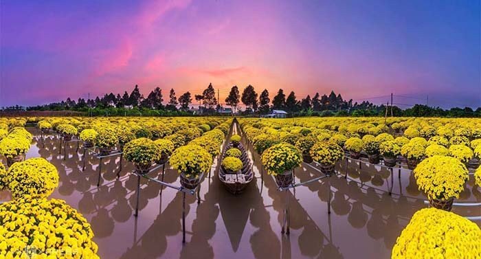 Du lịch làng hoa Sa Đéc - làng hoa lớn bậc nhất tại Đồng Tháp