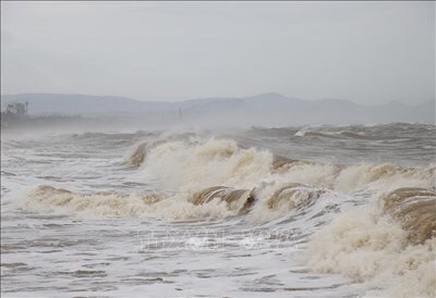 song-manh-du-lich-bien-quy-nhon