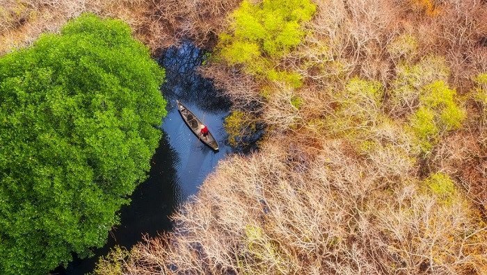 Hành trình khám phá rừng ngập mặn Rú Chá ở Huế