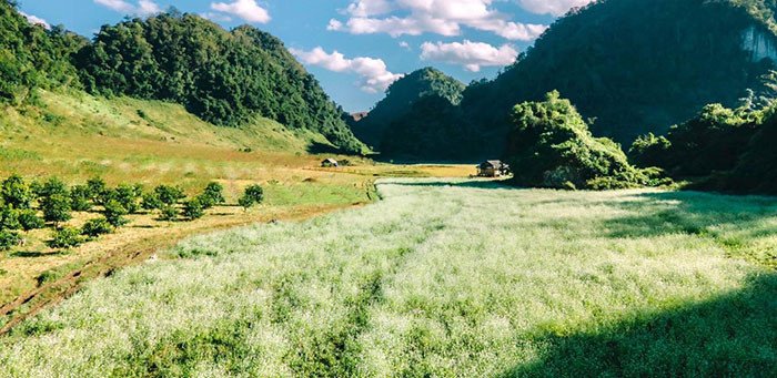 du-lịch-hang-táu-tại-mộc-châu