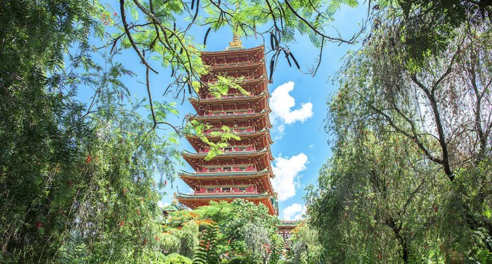 Chùa Minh Thành - Viếng thăm ngôi chùa mang phong cách Nhật Bản tại GIa Lai