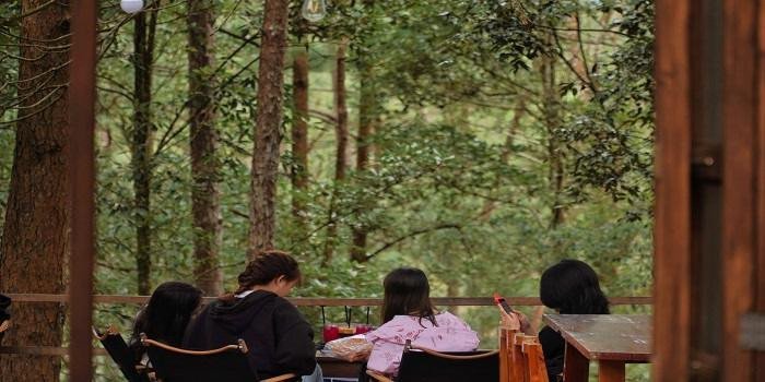 Cafe de Măng Đen – Quán cà phê view rừng thông HOT nhất thời điểm bấy giờ