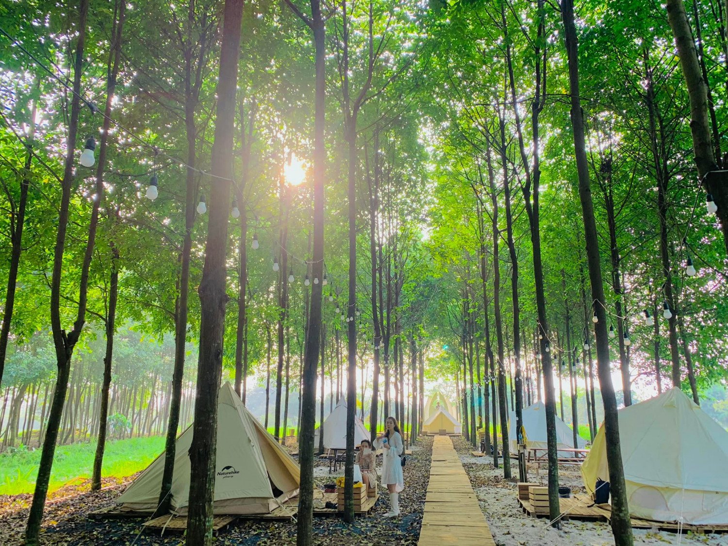 Camping “Đà Lạt thu nhỏ” giữa lòng Hà Nội