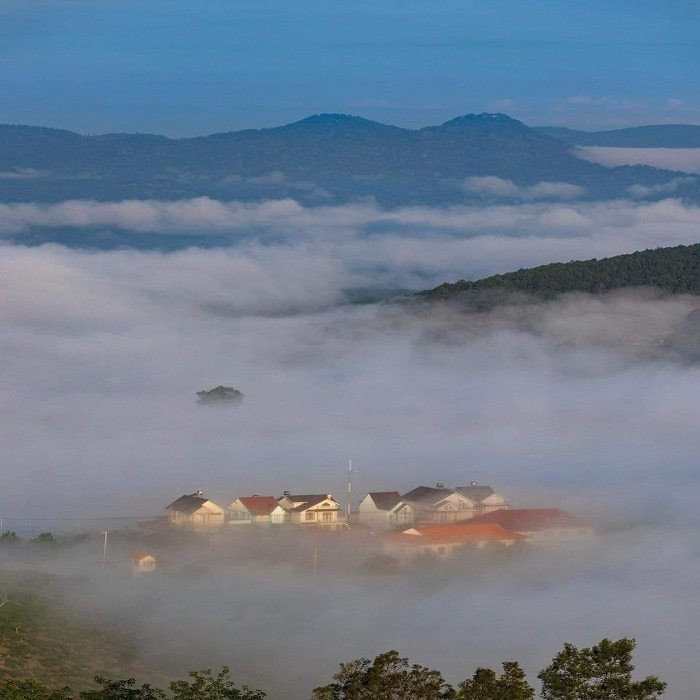 Đồi chè Cầu Đất – Địa điểm săn mây siêu HOT tại Đà Lạt