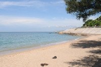 Kinh nghiệm du lịch biển Cà Ná Ninh Thuận