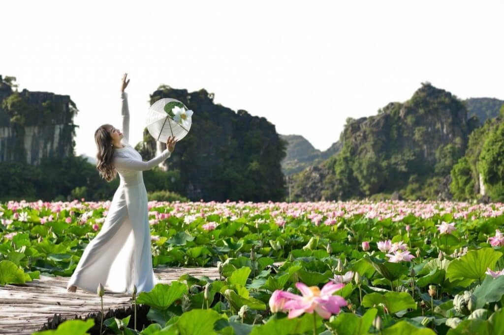 Mùa sen nở rộ - Đừng bỏ lỡ checkin mùa sen đẹp nhất ở Hang Múa Ninh Bình