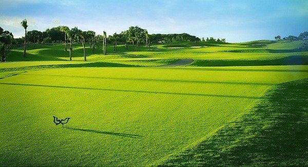 Khám phá ngay sân golf Phú Mỹ tại Bình Dương nằm trong top 10 sân golf Việt Nam