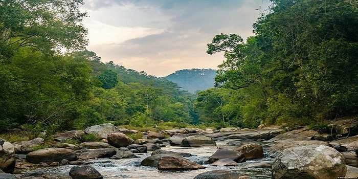 Vườn quốc gia Chư Yang Sin – Nét đẹp thiên nhiên tại Đắk Lắk